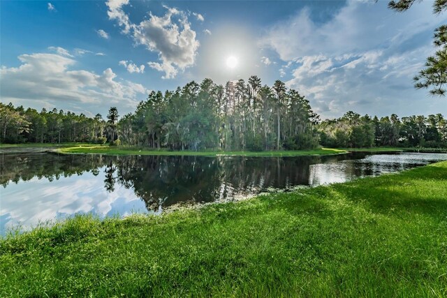 1236 Ketzal Dr, Trinity, FL 34655 - photo 49
