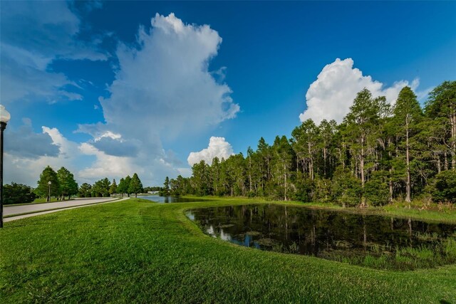 1236 Ketzal Dr, Trinity, FL 34655 - photo 50