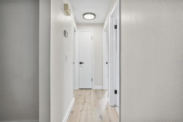 5323 23rd St, Zephyrhills, FL 33542 - hallway featuring light wood-style floors and baseboards
