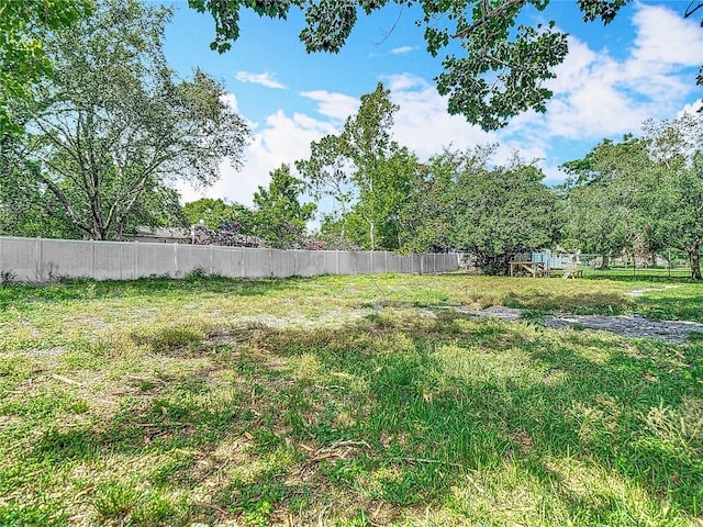 11340 Corinthian St, Spring Hill, FL 34609 - view of yard