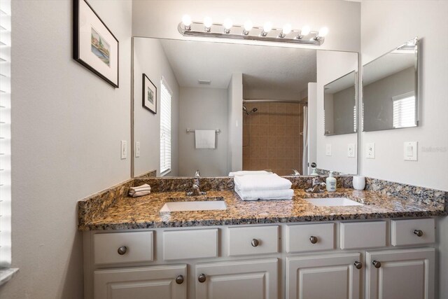 17905 Machair Ln, Land O Lakes, FL 34638 - bathroom featuring double vanity, healthy amount of natural light, and a shower
