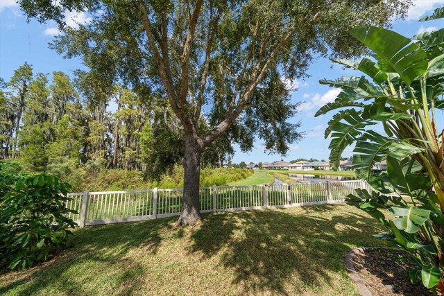17905 Machair Ln, Land O Lakes, FL 34638 - view of yard