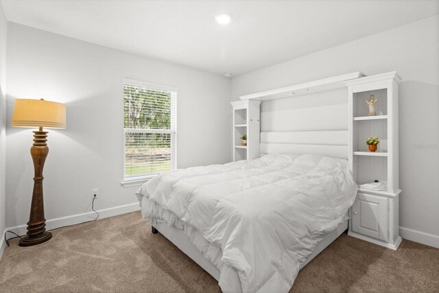 11042 Heth Ct, Weeki Wachee, FL 34613 - bedroom featuring carpet flooring and baseboards