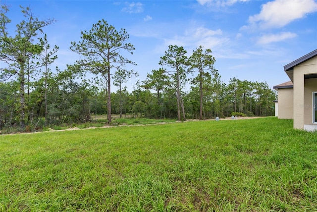 16123 Penn State Rd, Weeki Wachee, FL 34614 - photo 36