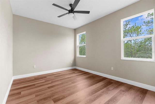 16123 Penn State Rd, Weeki Wachee, FL 34614 - photo 49