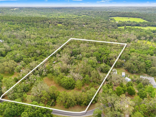3270 Endsley Rd, Brooksville, FL 34604 - photo 7