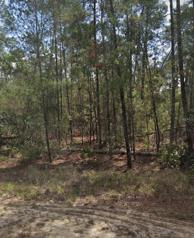 11 Scabiosa Ct, Homosassa, FL 34446