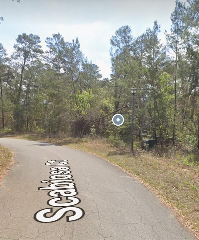 11 Scabiosa Ct, Homosassa, FL 34446