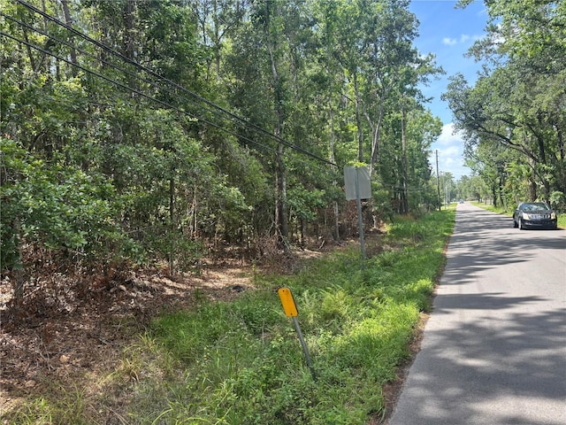 0 Hope Hill Rd, Brooksville, FL 34601 - photo 3