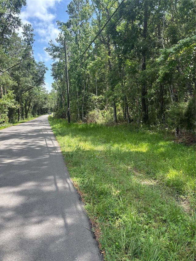 0 Hope Hill Rd, Brooksville, FL 34601 - photo 7