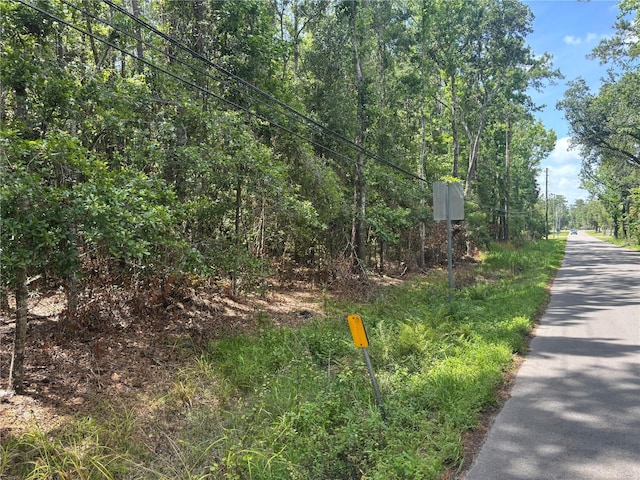 0 Hope Hill Rd, Brooksville, FL 34601 - photo 9