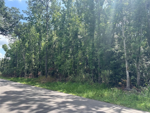 0 Hope Hill Rd, Brooksville, FL 34601 - photo 10