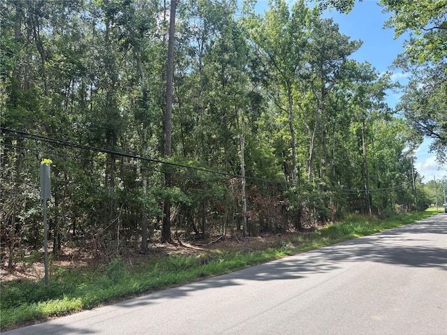 0 Hope Hill Rd, Brooksville, FL 34601 - photo 11