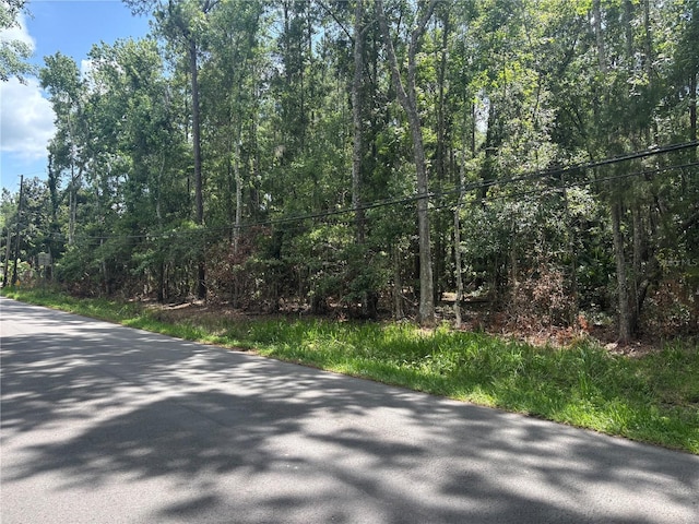 0 Hope Hill Rd, Brooksville, FL 34601 - photo 14