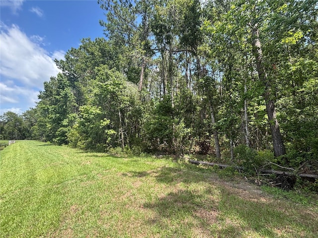 0 Hope Hill Rd, Brooksville, FL 34601 - photo 15