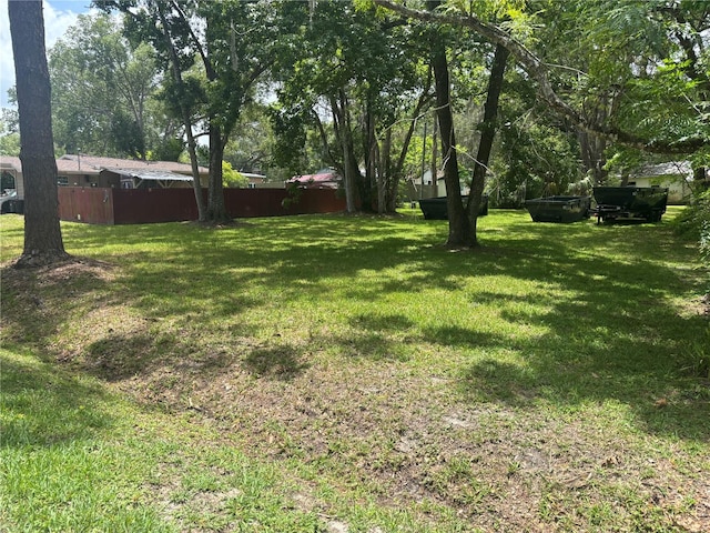 717 Whiteway Dr, Brooksville, FL 34601 - view of yard