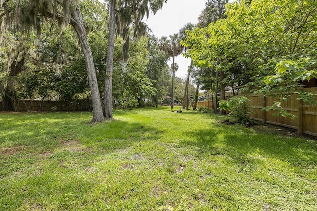 7424 Grand Blvd, New Port Richey, FL 34652 - view of fenced backyard
