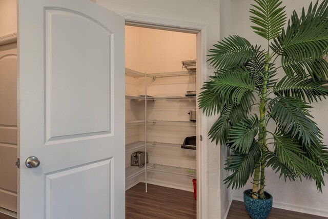 5520 White Marlin Ct, New Port Richey, FL 34652 - view of pantry