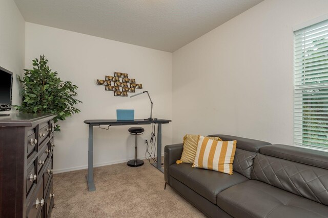 5520 White Marlin Ct, New Port Richey, FL 34652 - office space featuring light carpet and baseboards