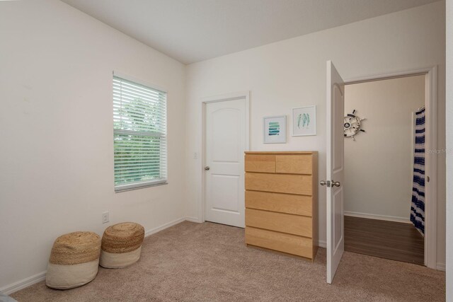 5520 White Marlin Ct, New Port Richey, FL 34652 - bedroom with light colored carpet and baseboards