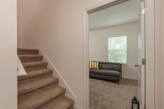 5520 White Marlin Ct, New Port Richey, FL 34652 - staircase featuring carpet floors and baseboards