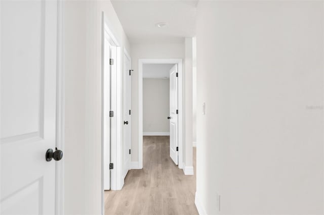 4479 Bluewater Ave, Spring Hill, FL 34606 - hall with light wood-type flooring and baseboards