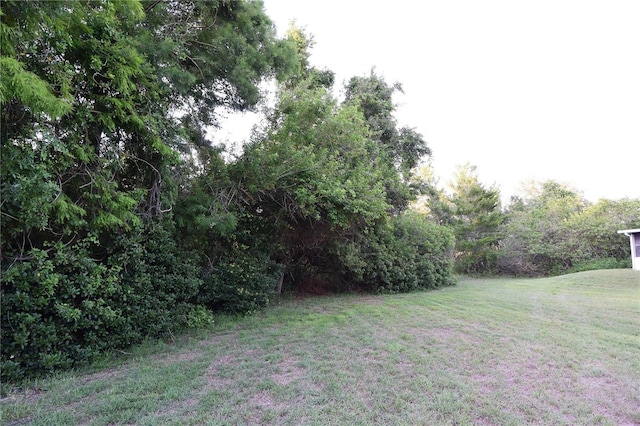 14112 Whitecap Ave, Hudson, FL 34667 - view of green lawn
