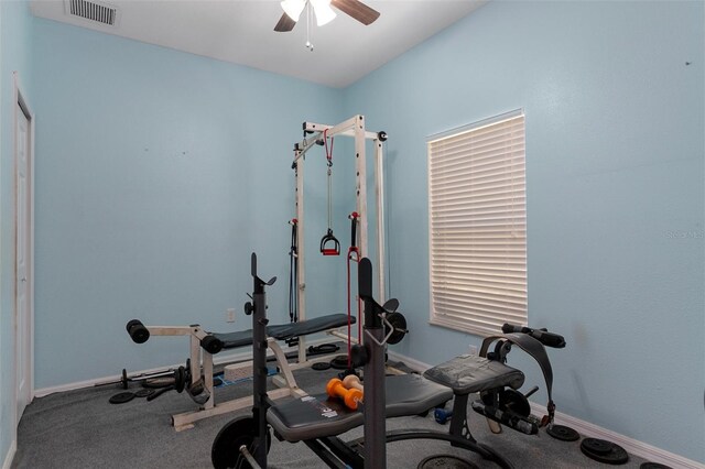15287 Coot Rd, Weeki Wachee, FL 34614 - photo 50