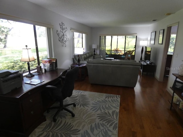 13010 Wedgewood Way Unit A, Hudson, FL 34667 - living room featuring wood finished floors, an office area, and a textured ceiling