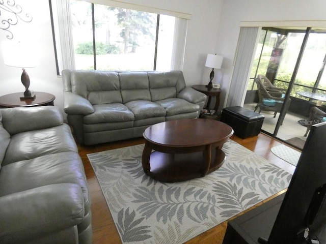 13010 Wedgewood Way Unit A, Hudson, FL 34667 - living area featuring plenty of natural light and wood finished floors