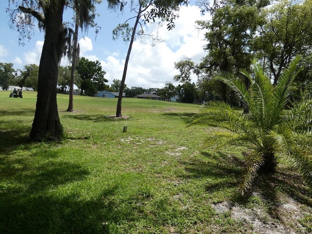 13010 Wedgewood Way Unit A, Hudson, FL 34667 - view of grassy yard