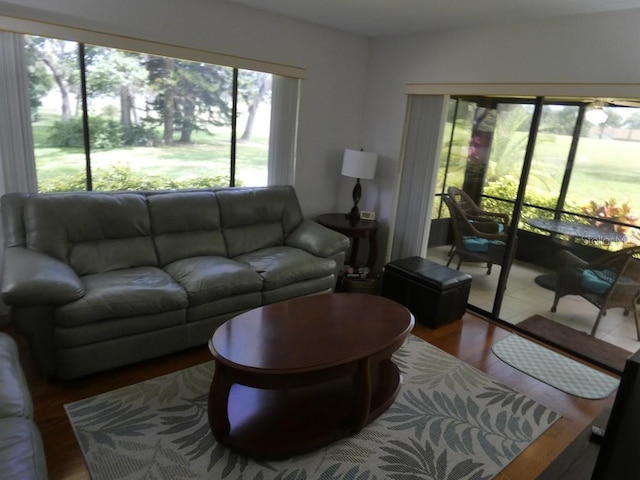 13010 Wedgewood Way Unit A, Hudson, FL 34667 - living area featuring wood finished floors