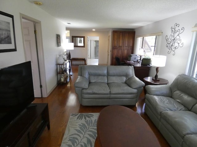 13010 Wedgewood Way Unit A, Hudson, FL 34667 - living room with wood finished floors and a textured ceiling