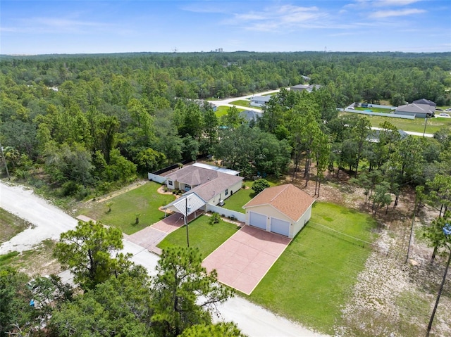 13444 English Parrot Rd, Brooksville, FL 34614 - drone / aerial view of a forest