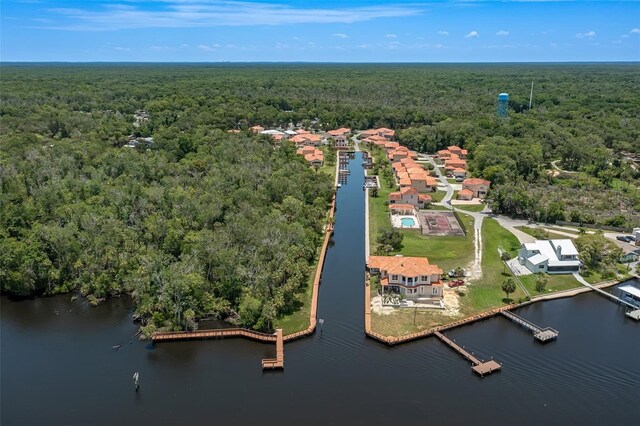 10234 W Middlburg Loop Unit 152, Homosassa, FL 34448 - drone / aerial view of a heavily wooded area and a large body of water
