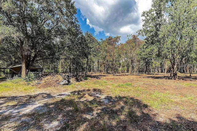 13716 Glen Harwell Rd, Dover, FL 33527 - photo 2