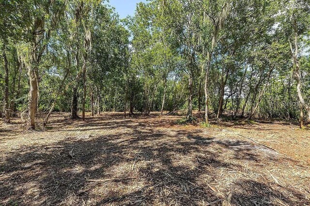 13716 Glen Harwell Rd, Dover, FL 33527 - photo 3