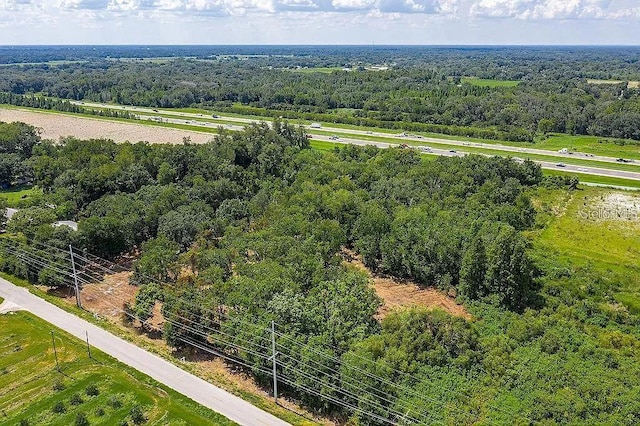 13716 Glen Harwell Rd, Dover, FL 33527 - photo 4