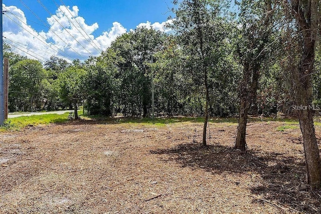13716 Glen Harwell Rd, Dover, FL 33527 - photo 5