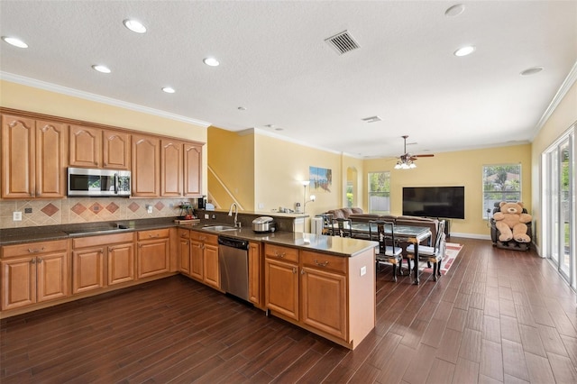 11726 Belle Haven Dr, New Port Richey, FL 34654 - kitchen featuring appliances with stainless steel finishes, a sink, ceiling fan, a peninsula, and ornamental molding