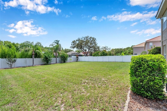 11726 Belle Haven Dr, New Port Richey, FL 34654 - view of yard