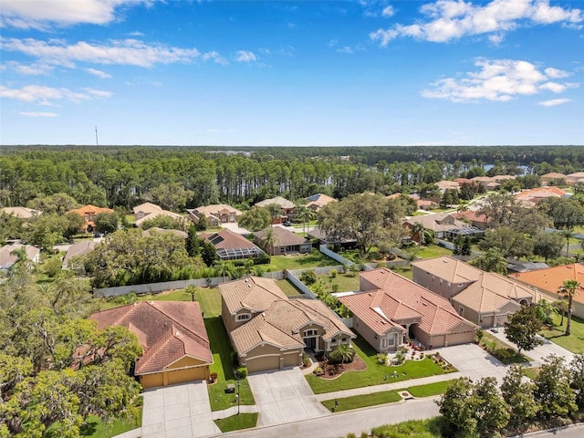 11726 Belle Haven Dr, New Port Richey, FL 34654 - aerial perspective of suburban area featuring a heavily wooded area