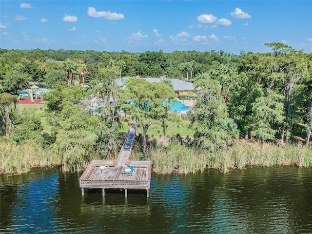 11726 Belle Haven Dr, New Port Richey, FL 34654 - dock area with a wooded view and a water view