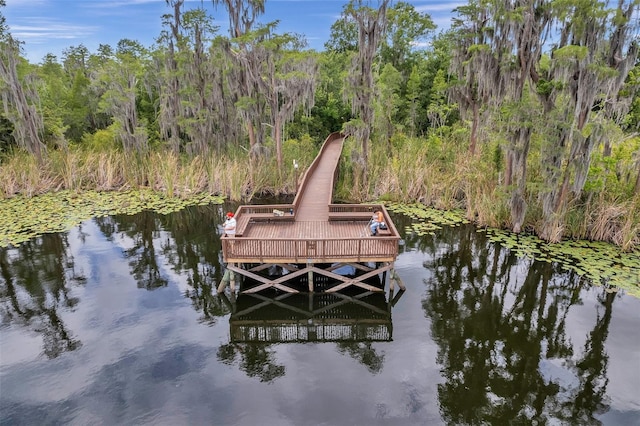 11726 Belle Haven Dr, New Port Richey, FL 34654 - dock with a wooded view and a water view