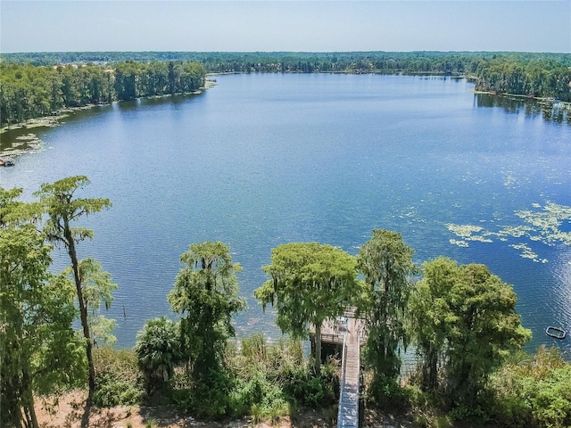 11726 Belle Haven Dr, New Port Richey, FL 34654 - water view featuring a heavily wooded area