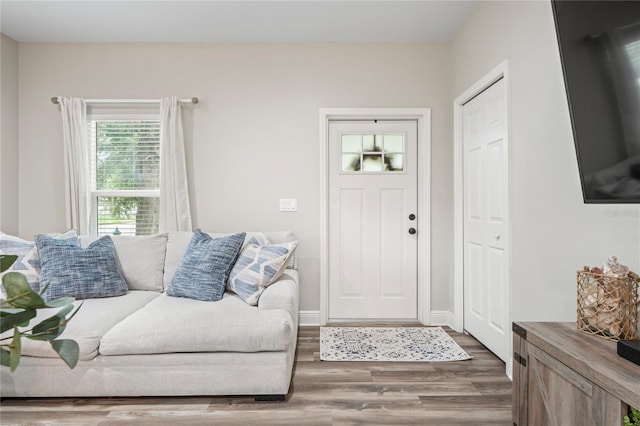 1601 E 98th Ave, Tampa, FL 33612 - foyer featuring wood finished floors and baseboards