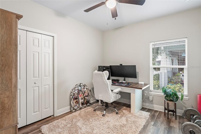 1601 E 98th Ave, Tampa, FL 33612 - office space featuring a ceiling fan, wood finished floors, and baseboards