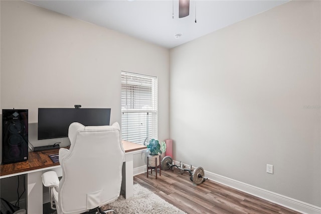 1601 E 98th Ave, Tampa, FL 33612 - office area featuring wood finished floors, ceiling fan, and baseboards