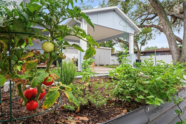1601 E 98th Ave, Tampa, FL 33612 - view of yard