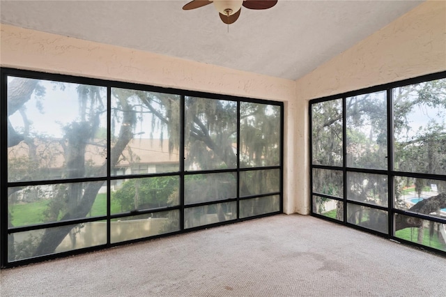 8550 Shadblow Ct Unit 10, Port Richey, FL 34668 - photo 30